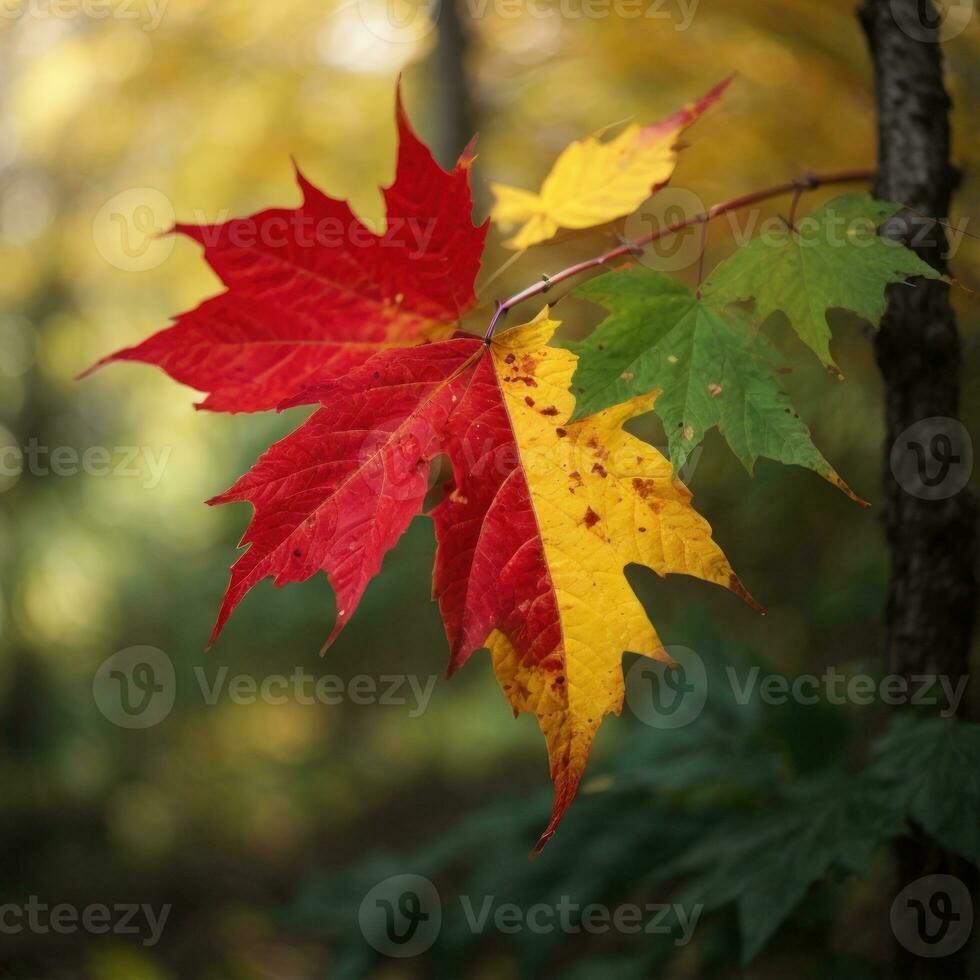 ai generado de otoño despedida de cerca de un rojo arce hoja en el bosque generativo por ai foto