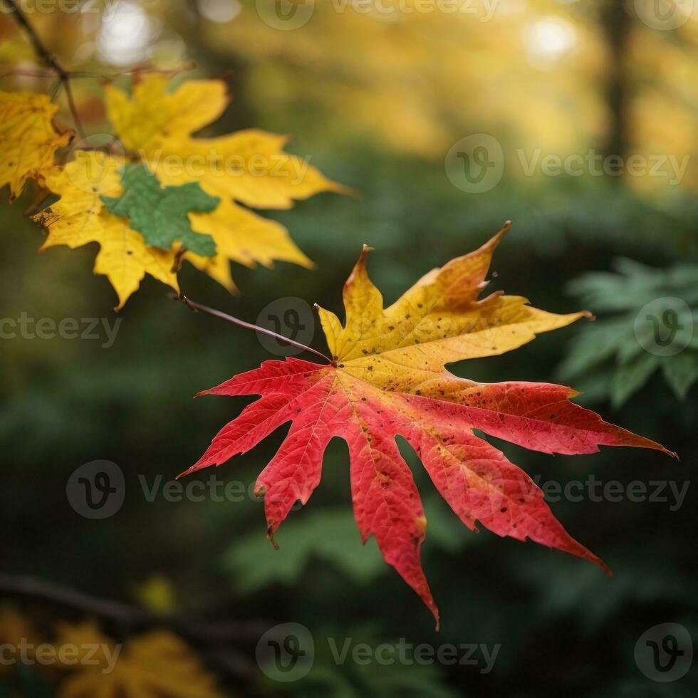 AI generated Autumn's Farewell Close-Up of a Red Maple Leaf in the Forest Generative by AI photo