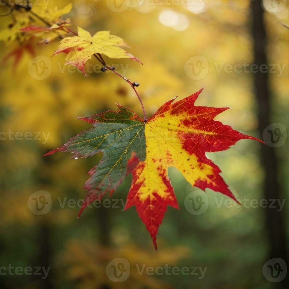 AI generated Autumn's Farewell Close-Up of a Red Maple Leaf in the Forest Generative by AI photo