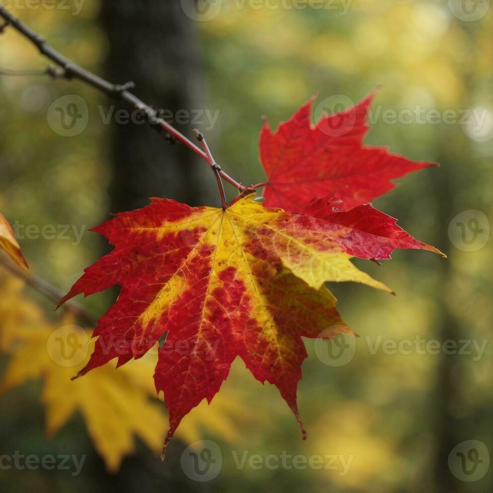 ai generado de otoño despedida de cerca de un rojo arce hoja en el bosque generativo por ai foto