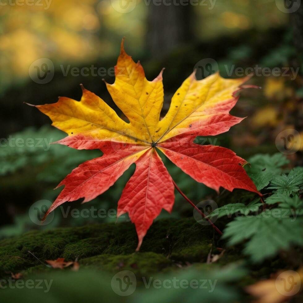 AI generated Autumn's Farewell Close-Up of a Red Maple Leaf in the Forest Generative by AI photo