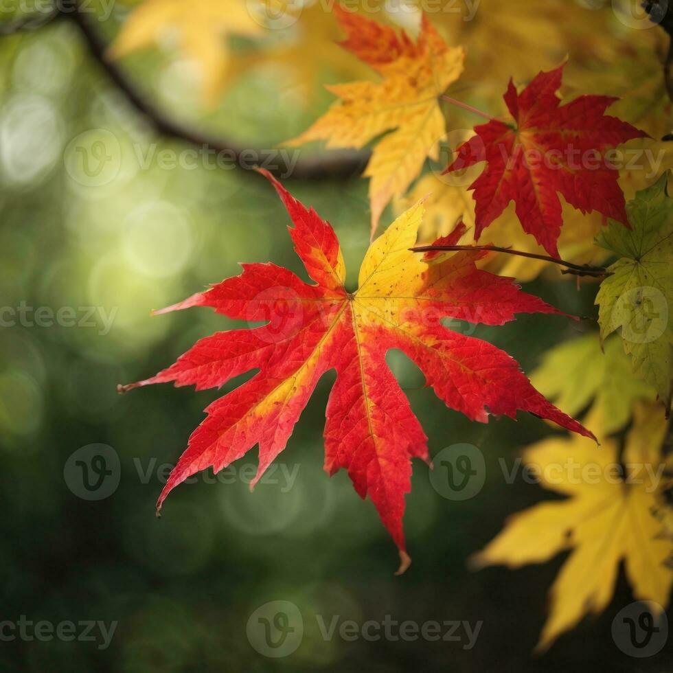 AI generated Autumn's Farewell Close-Up of a Red Maple Leaf in the Forest Generative by AI photo