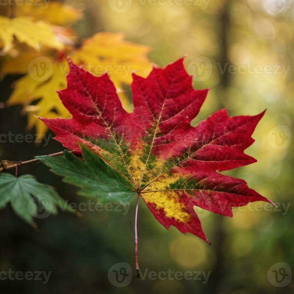 AI generated Autumn's Farewell Close-Up of a Red Maple Leaf in the Forest Generative by AI photo
