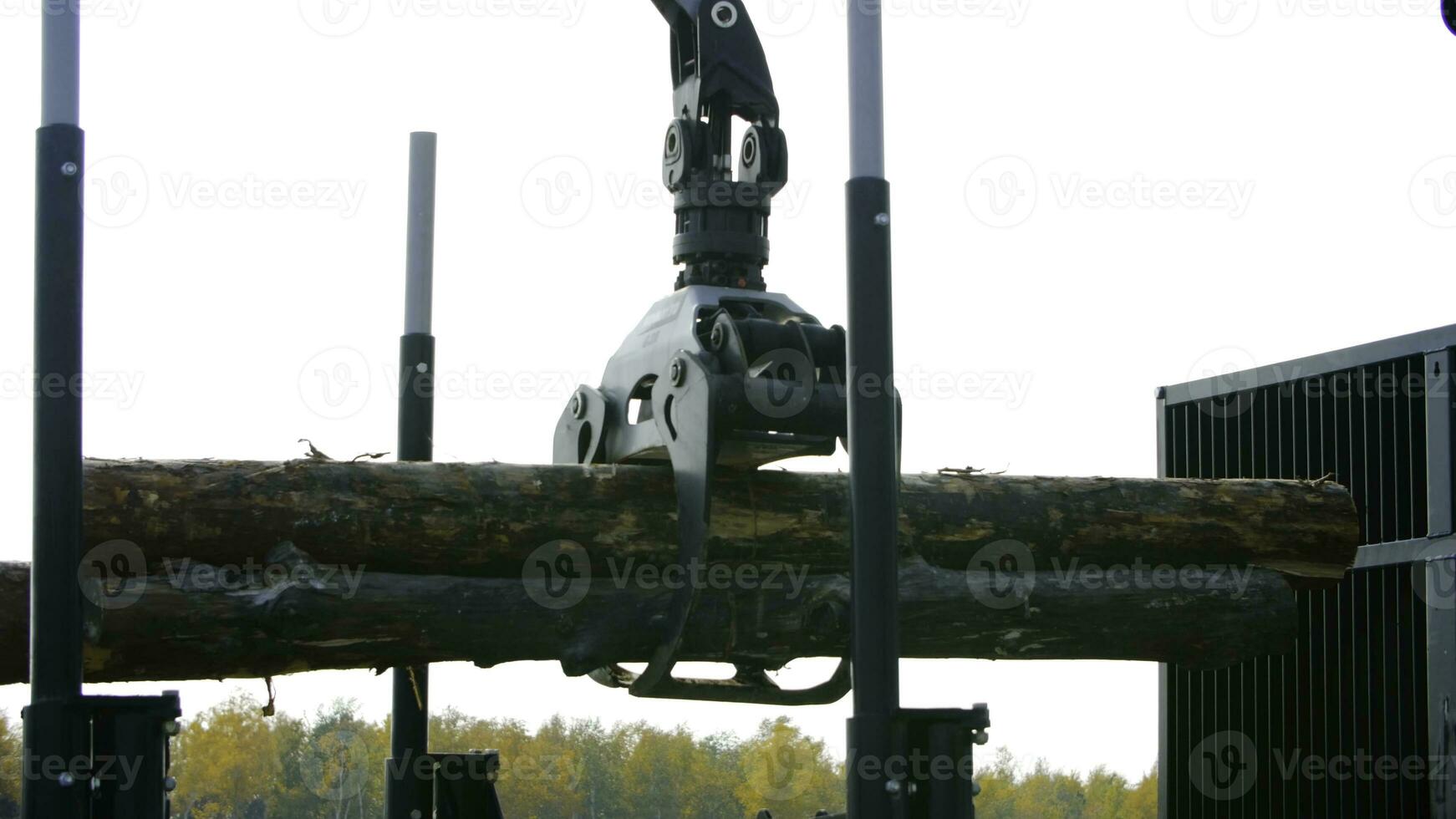 A forestry machine loads a log truck at the site landing. Forest machine down logs photo