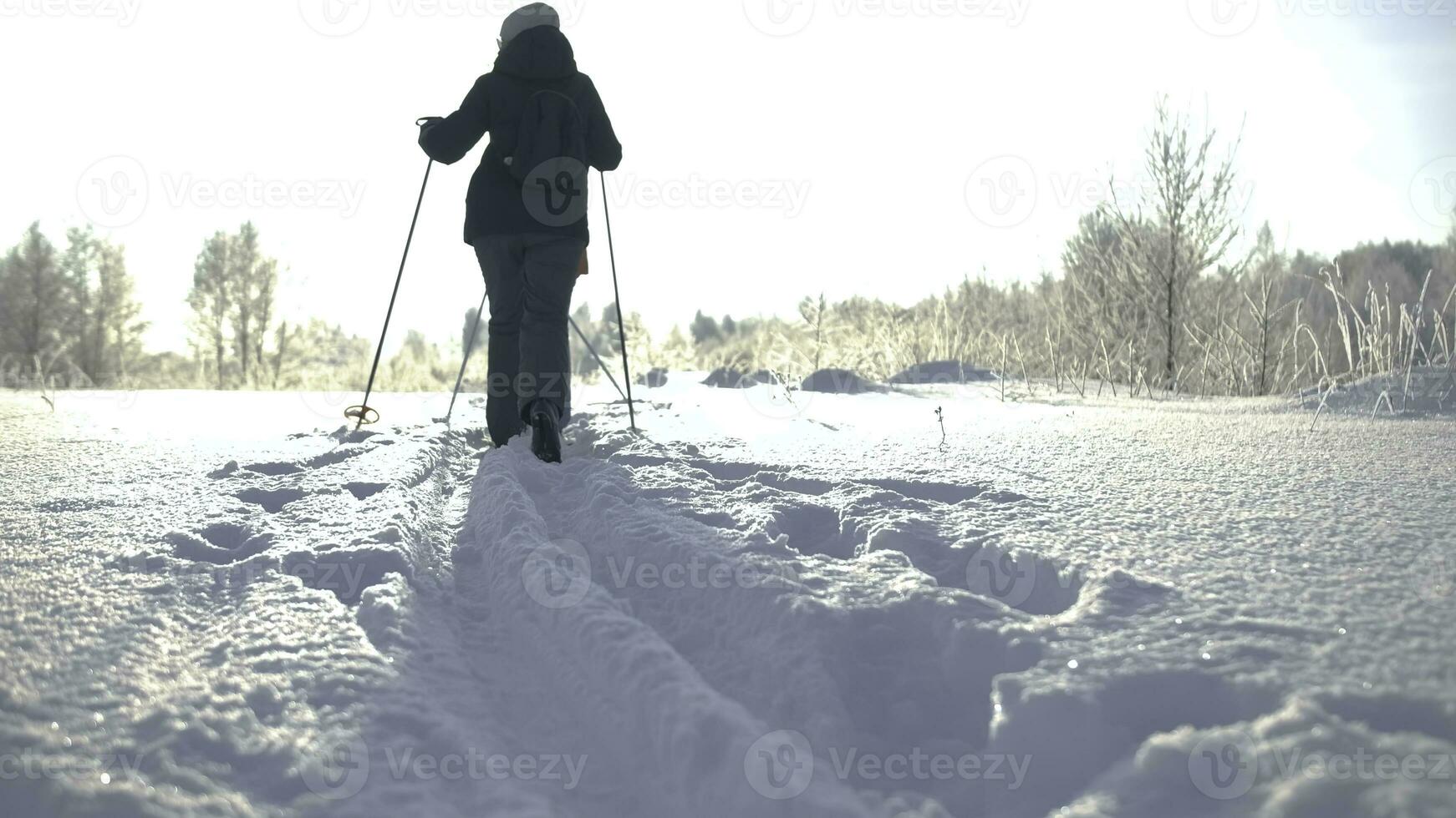 lento movimiento posterior ver de esquiadores esquiar abajo el Nevado camino en un escarchado invierno día. creativo. personas excursionismo y Moviente mediante nieve. foto