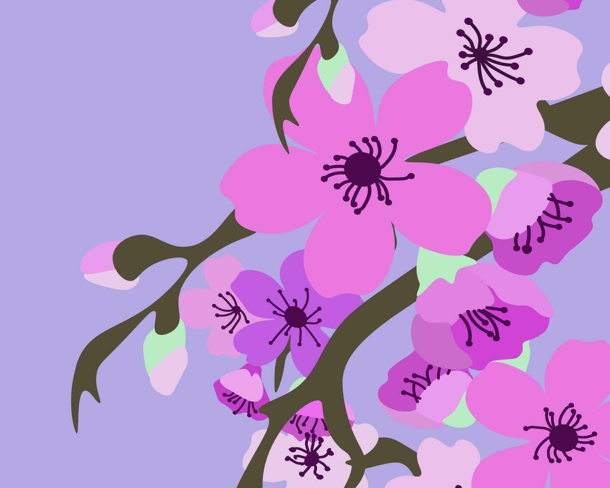 sakura blossoms on a purple background. vector
