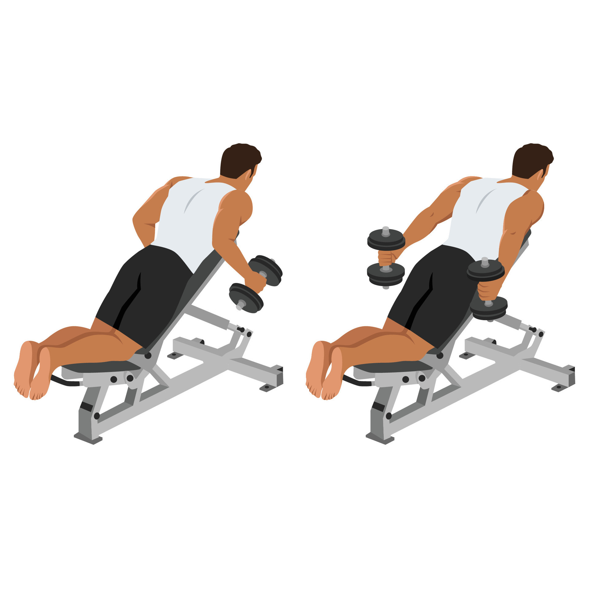 Man doing dumbbell prone incline kickbacks exercise. 35805193 Vector