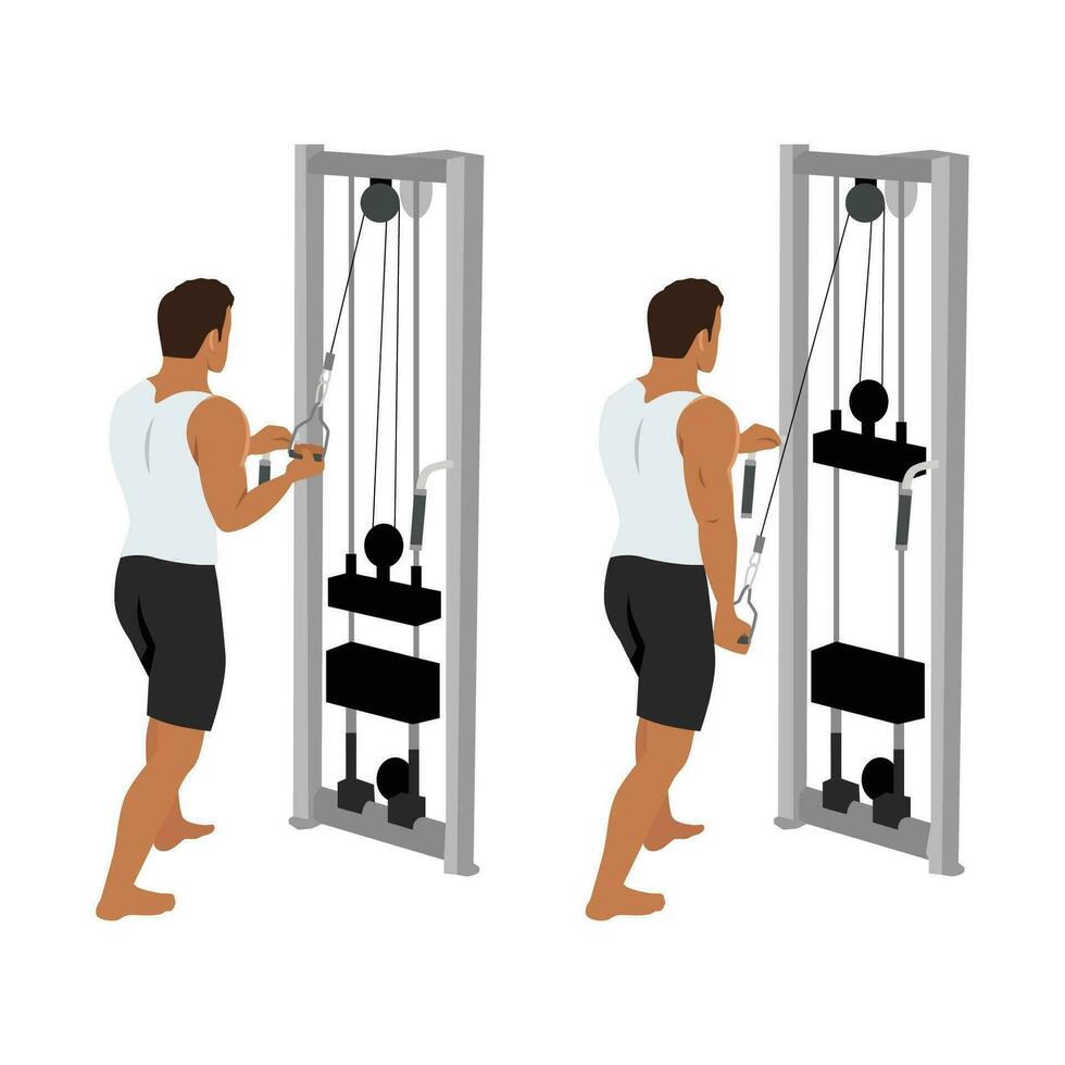 Man doing cable one arm reverse grip tricep pushdown exercise. vector