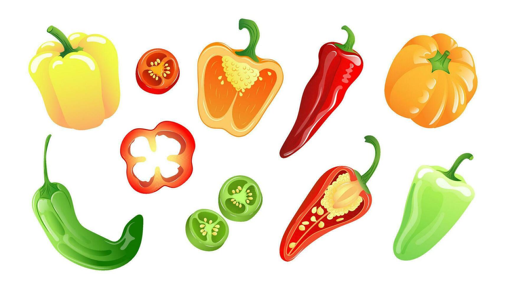 Set of illustrations of colourful variety of peppers in bright colours. Vector illustration of paprika, chili pepper, jalapeno pepper, cayenne pepper