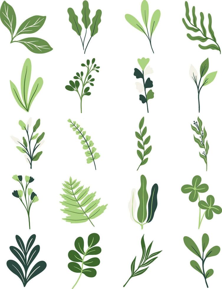 Green Botanical Leaves Illustration Set vector