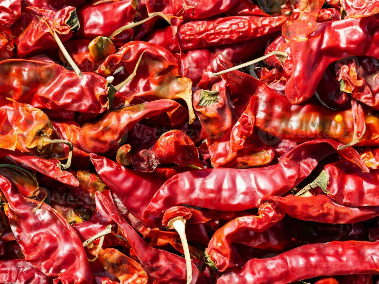 Red dried chili peppers exposed to sunlight as a background. photo