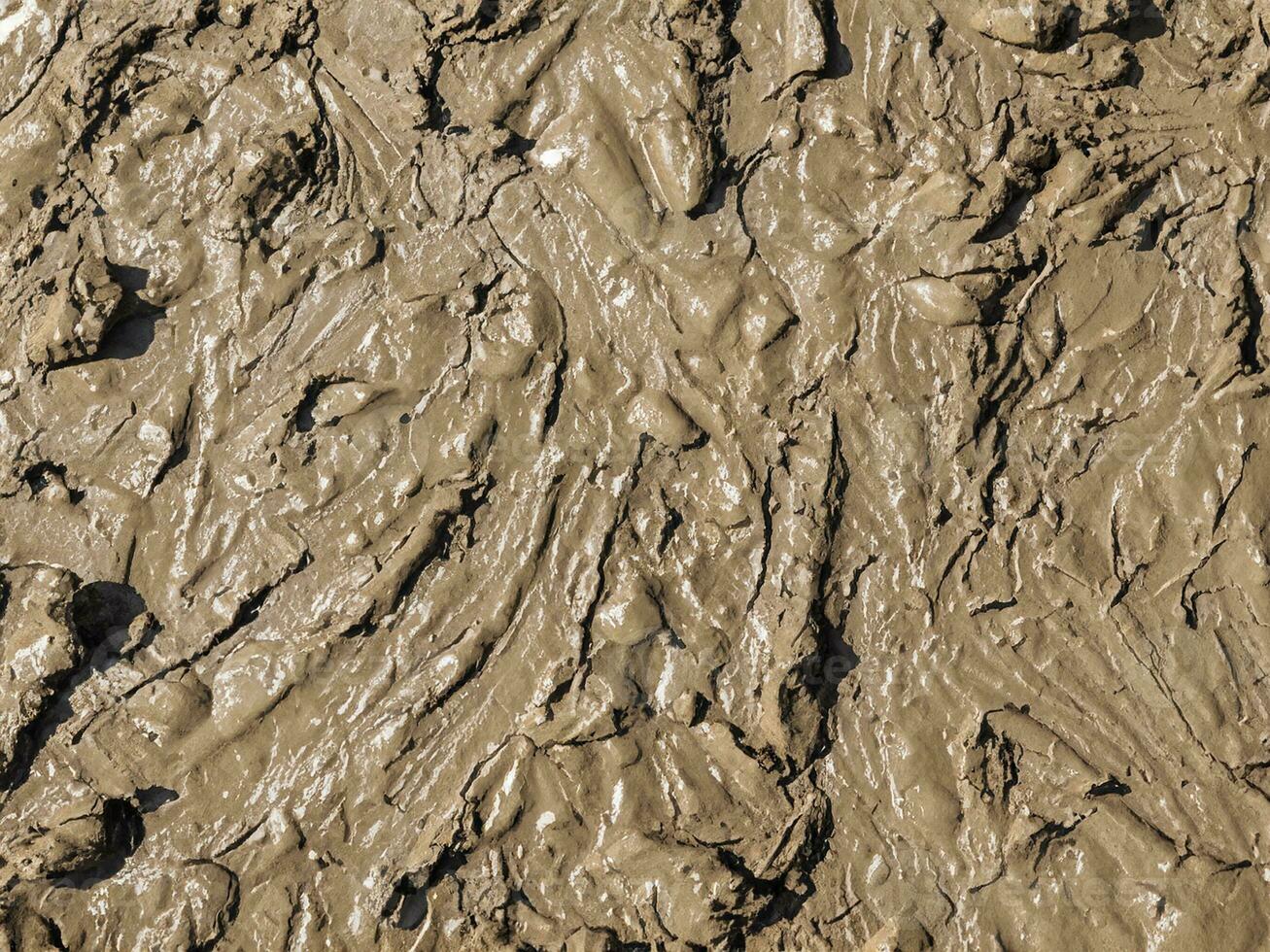 Wet dirty mud on field background texture. Top view photo