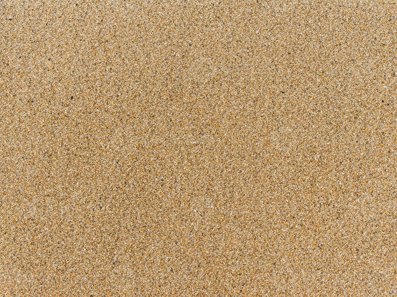 Sand texture. Sandy beach for background. Top view photo
