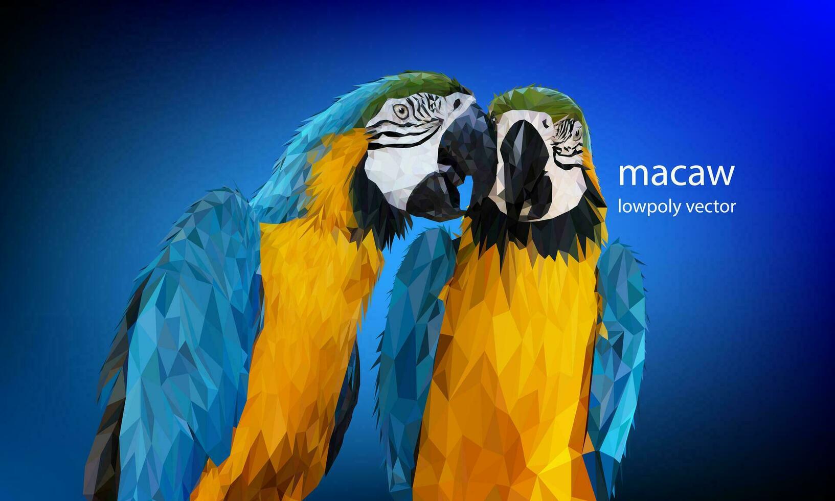 Polygon Graphics Blue and yellow two macaw parrot vector background