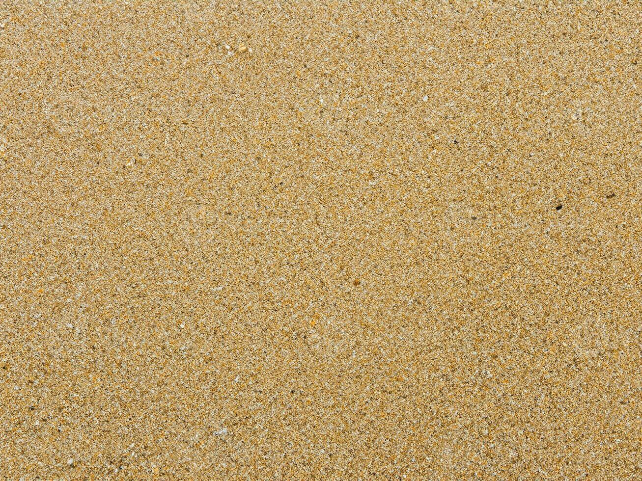 Sand texture. Sandy beach for background. Top view photo
