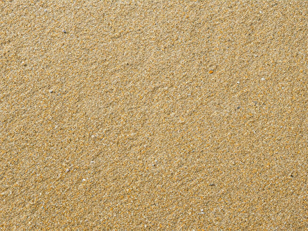 Sand texture. Sandy beach for background. Top view photo