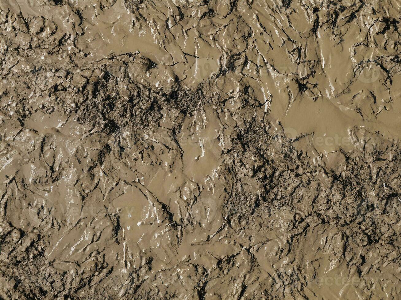 AI generated Wet dirty mud on field background texture. Top view photo