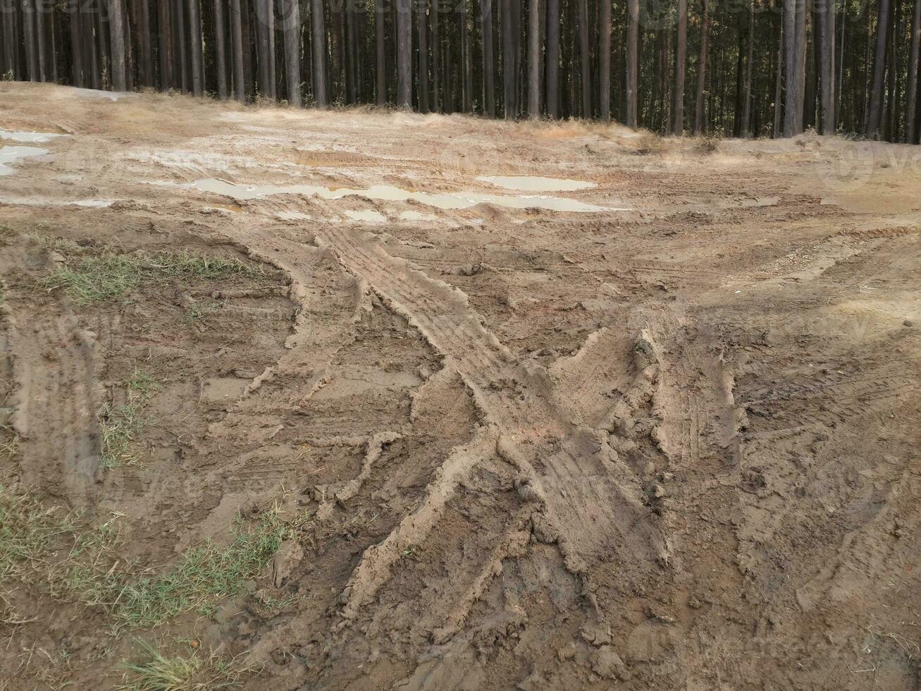 Country dirt road through the forest with large muddy puddles after rain photo