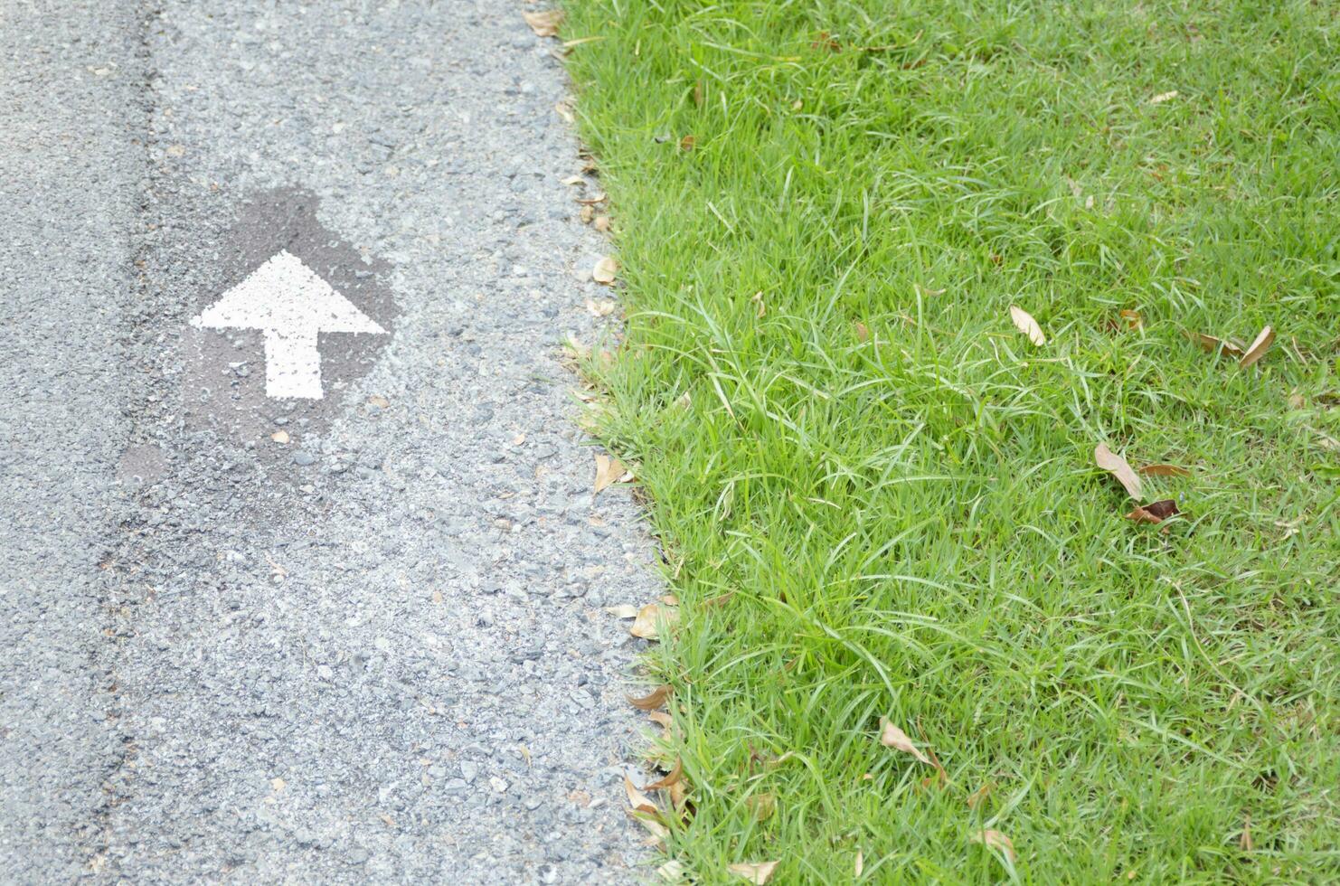 road signs in the green grass photo