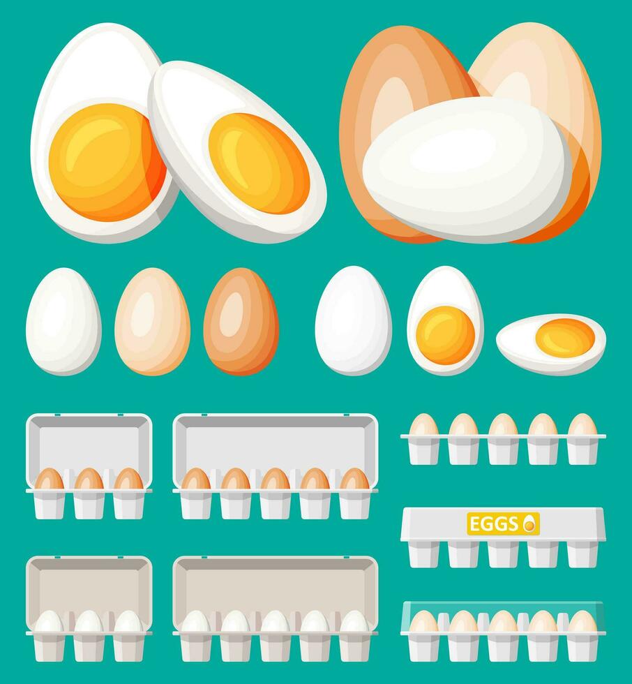 Set eggs in cardboard package isolated on green. Cartoon white and brown egg icon in tray. Dairy food and grocery. Easter mockup concept. Flat vector illustration.