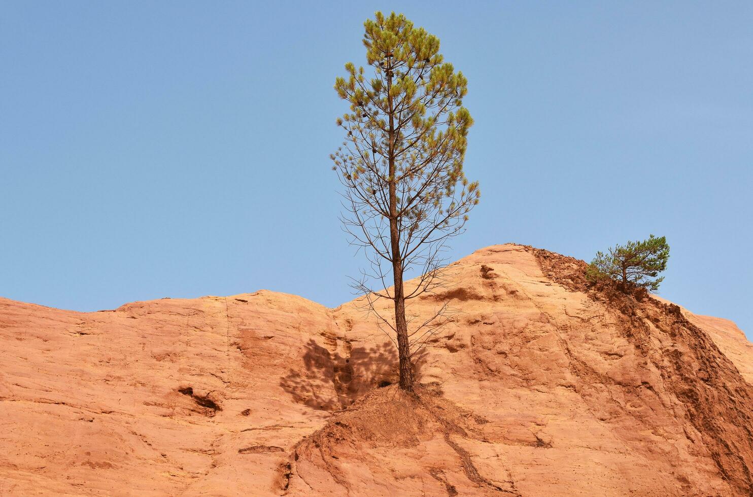 The Colorado hills photo