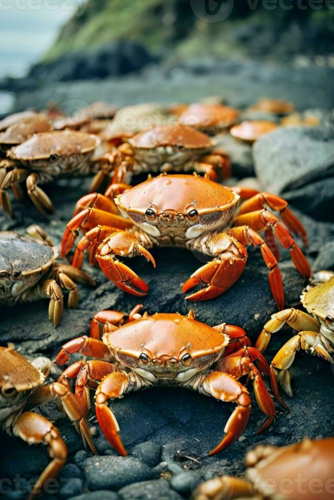 AI generated A group of crabs resting on a rocky beach photo