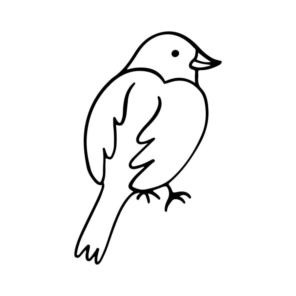 pájaro dibujos animados garabatear ilustración. negro línea pequeño aves, diferente posa, volador. contento personaje. mano dibujado plano resumen icono. moderno de moda vector ilustración