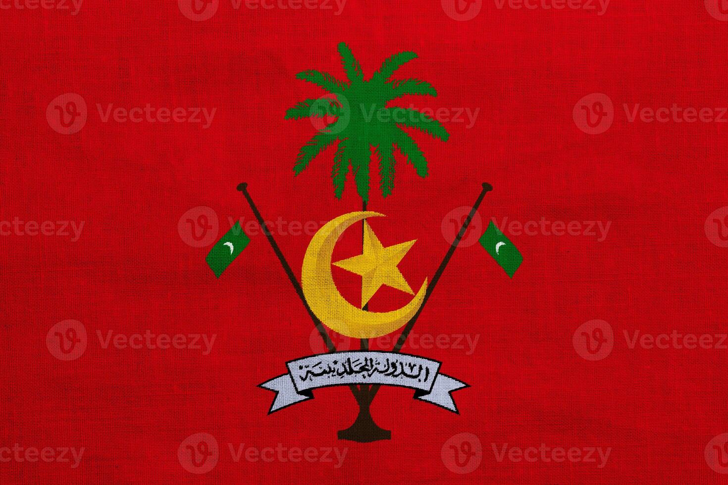 Flag and coat of arms of Republic of Maldives on a textured background. Concept collage. photo
