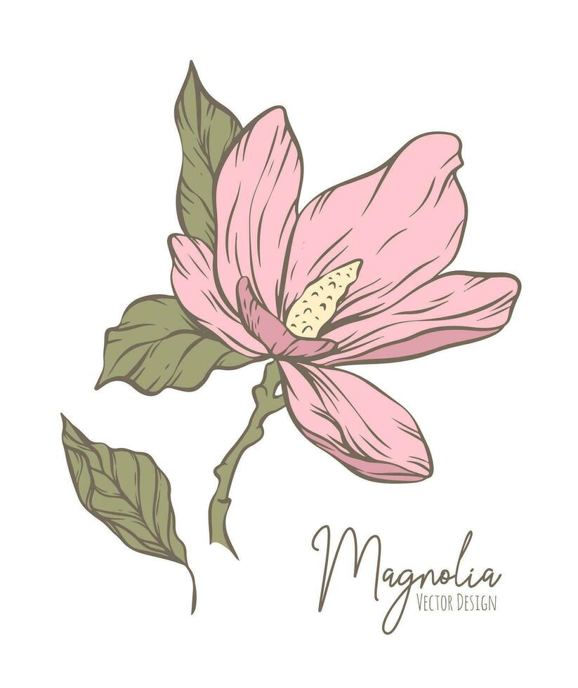 magnolia flor línea ilustración. dibujado a mano contorno contorno de Boda hierba, elegante hojas para invitación salvar el fecha tarjeta. botánico de moda verdor vector colección para web, imprimir, carteles