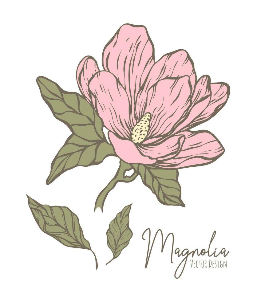 magnolia flor línea ilustración. dibujado a mano contorno contorno de Boda hierba, elegante hojas para invitación salvar el fecha tarjeta. botánico de moda verdor vector colección para web, imprimir, carteles