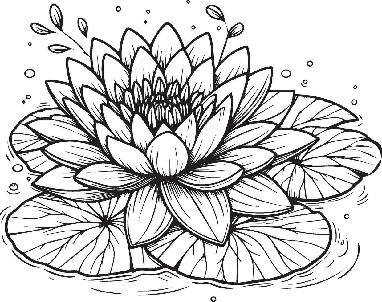 Sketch of water lily flower illustration hand-drawn botanical leaf buds isolated on white, spring flower and ink art style, botanical garden element bouquet of waterlily, waterlily wall decor vector