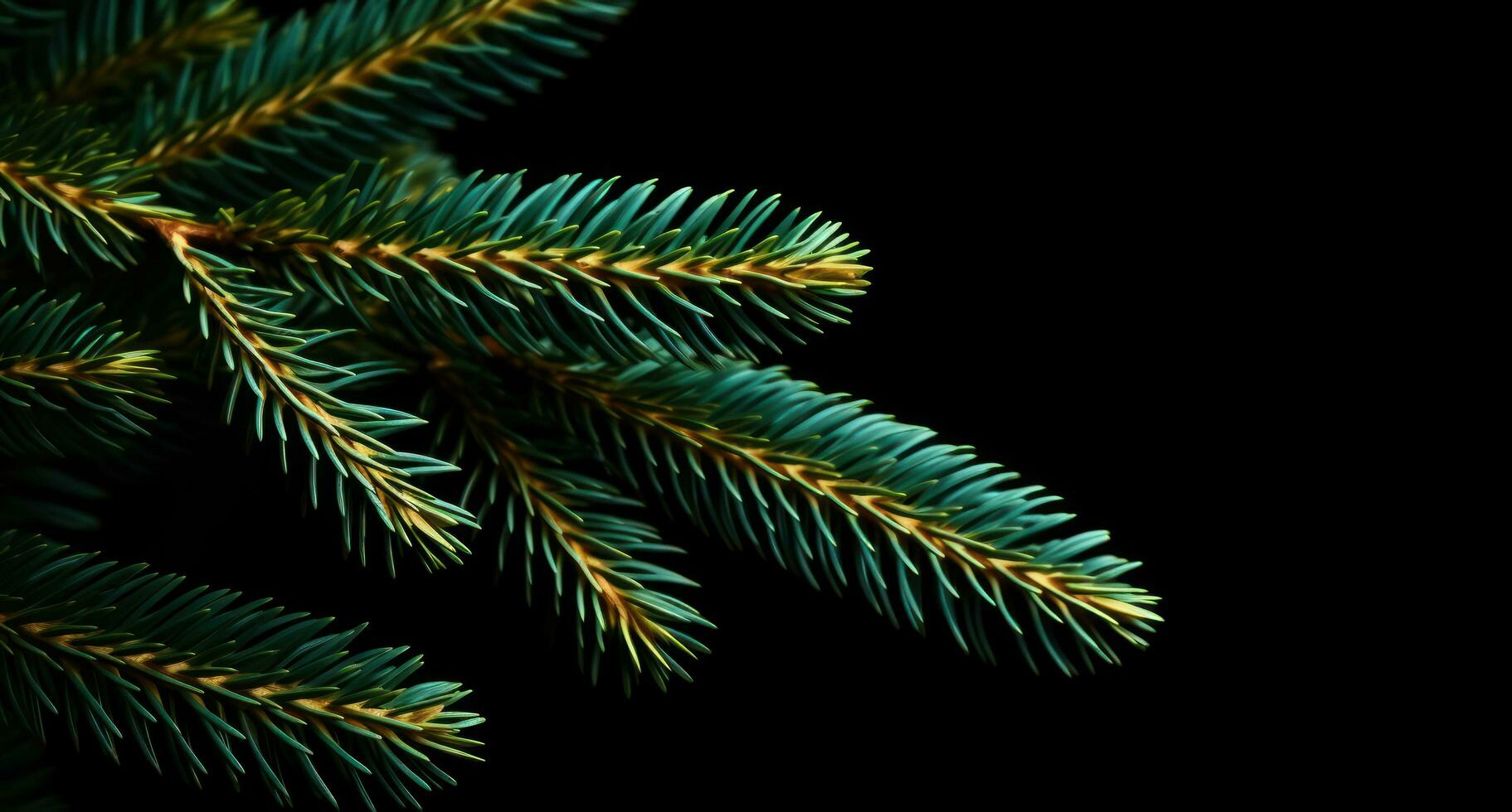 AI generated swiss fir christmas tree isolated on dark background christmas tree photo