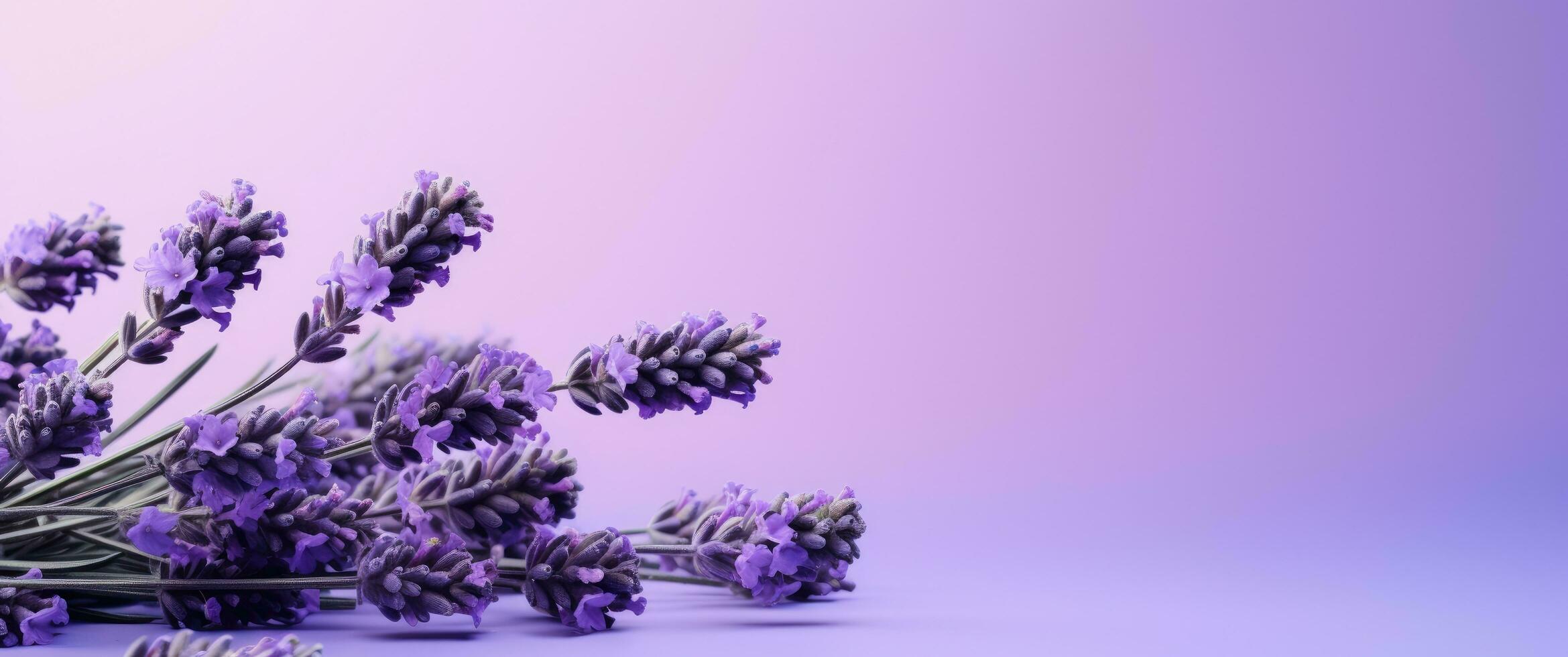 AI generated flowers on lavender background, photo