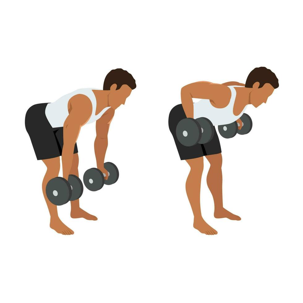 Man doing Dumbbell bent over reverse grip row exercise. vector