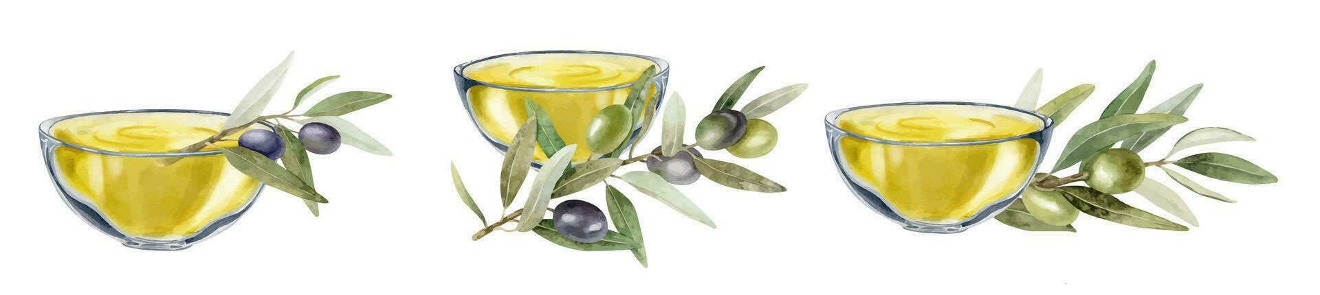 Set of bowls of extra virgin olive oil. Olive tree branches, leaves and fruits. Vegetarian organic food. Isolated watercolor hand drawn illustration for menu, packaging design vector