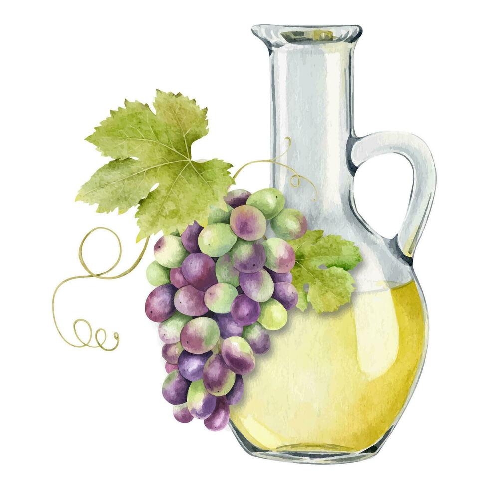 Jug with grape seed oil. A decanter with grape juice. Natural vegetable oil. Grape seed oil in glass bottle. Isolated watercolor illustration. For the design of labels of wine, grape juice, cosmetics. vector