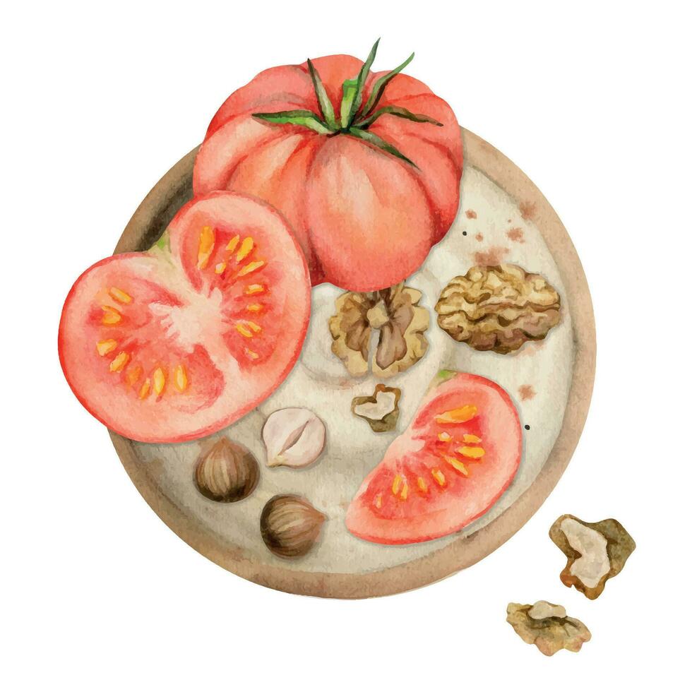 mano dibujado acuarela tomate vegetal y nueces, dieta y sano estilo de vida, ensalada vegano cocinando. ilustración composición aislado en blanco antecedentes. diseño para póster, imprimir, sitio web, tarjeta, menú vector