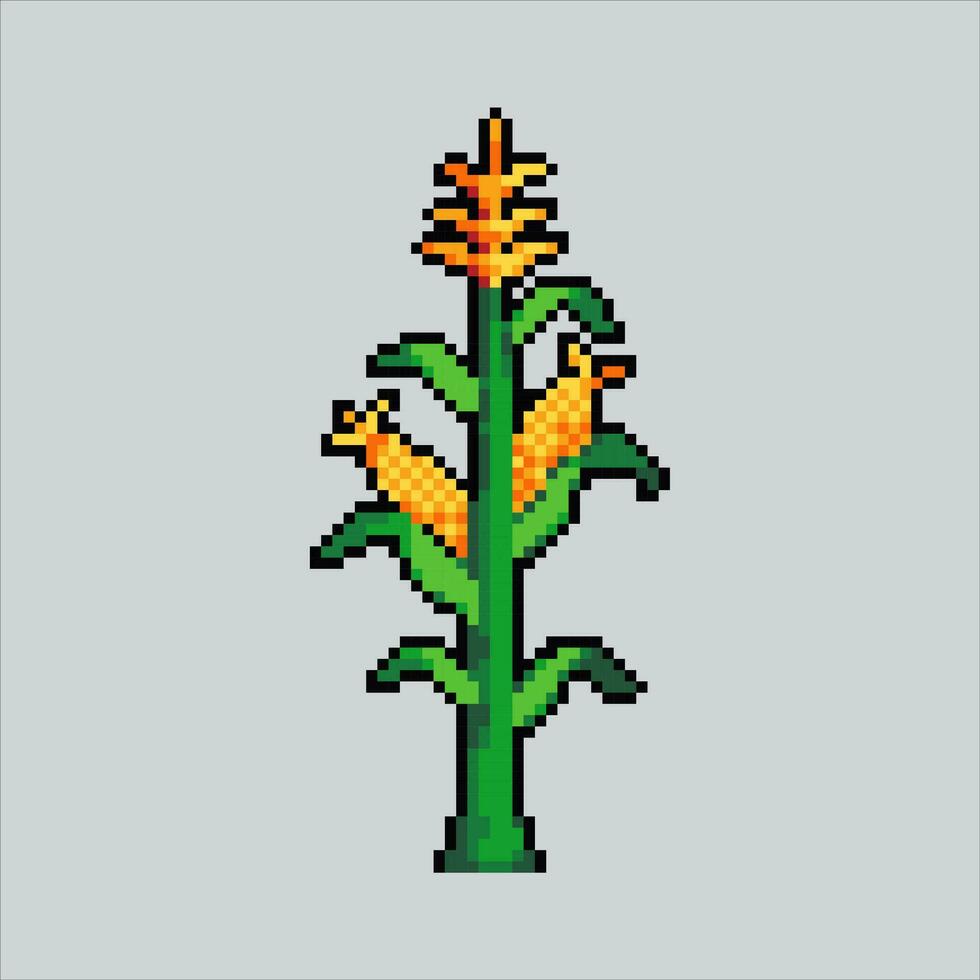 píxel Arte ilustración maíz. pixelado maíz planta. maíz planta granja pixelado para el píxel Arte juego y icono para sitio web y vídeo juego. antiguo colegio retro vector