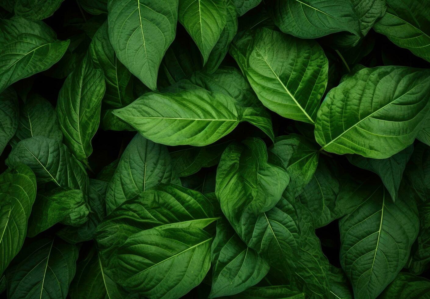 ai generado hojas de un tipo de planta, basado en la naturaleza patrones, sintetismo foto