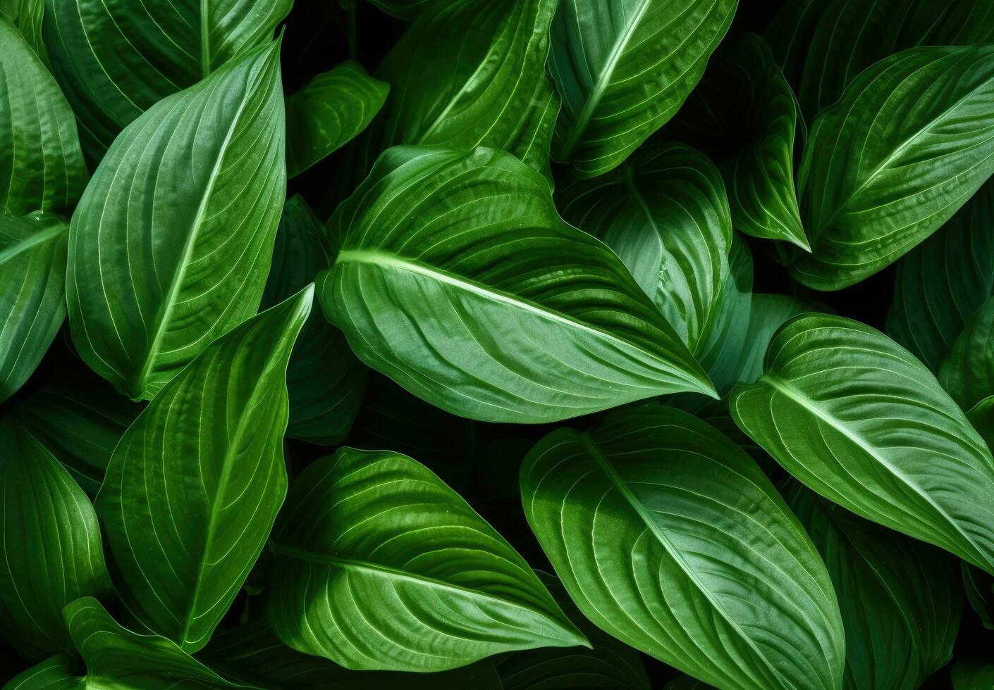 ai generado hojas de un tipo de planta, basado en la naturaleza patrones, sintetismo foto