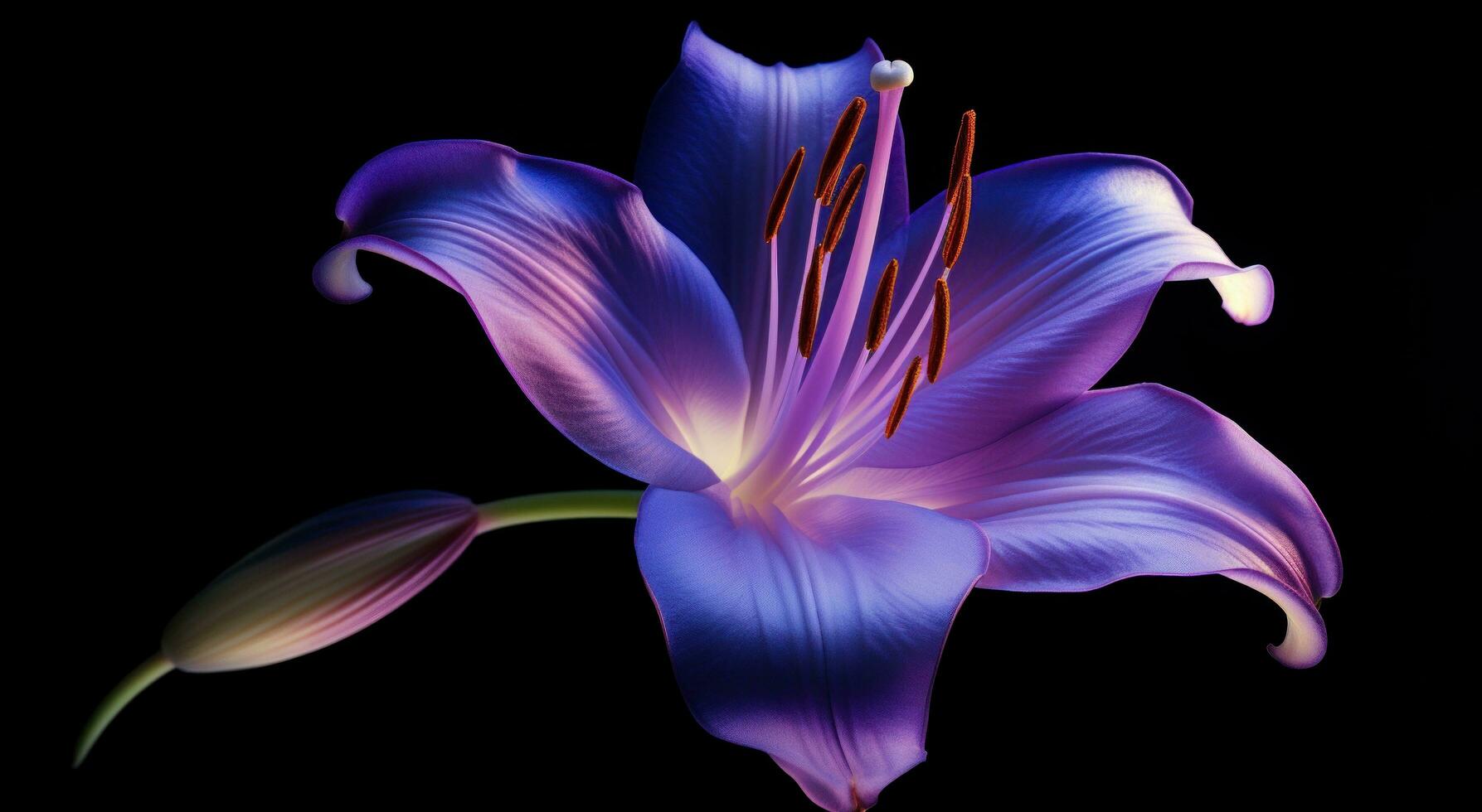 AI generated an image of a purple lily photo