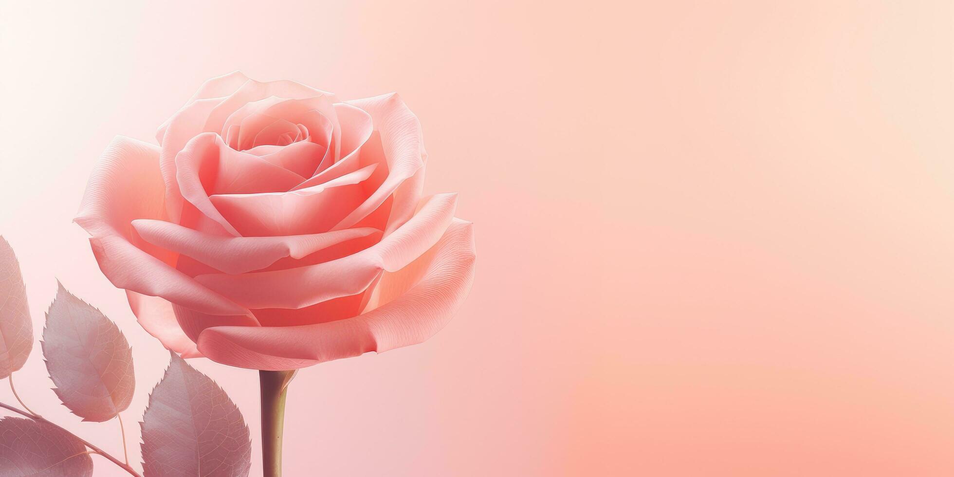 AI generated a pink rose in bright background photo