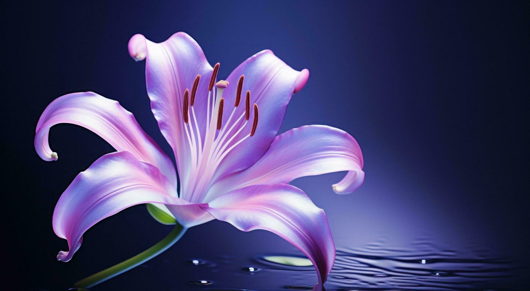 AI generated an image of a purple lily photo