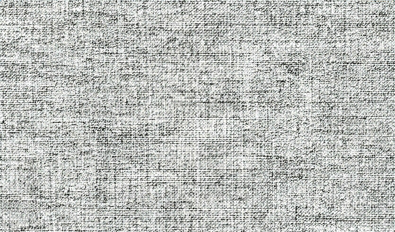 Vector fabric texture. Distressed texture of weaving fabric. Grunge background. Abstract halftone vector illustration. Overlay to create interesting effect and depth. Black isolated on white. EPS10. photo