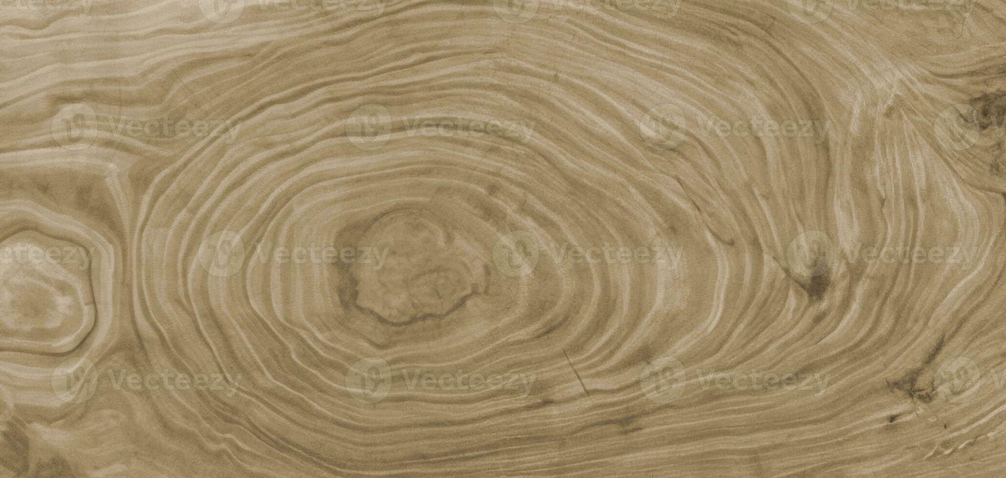 brown background and texture Cross section of tree trunk showing growth rings photo