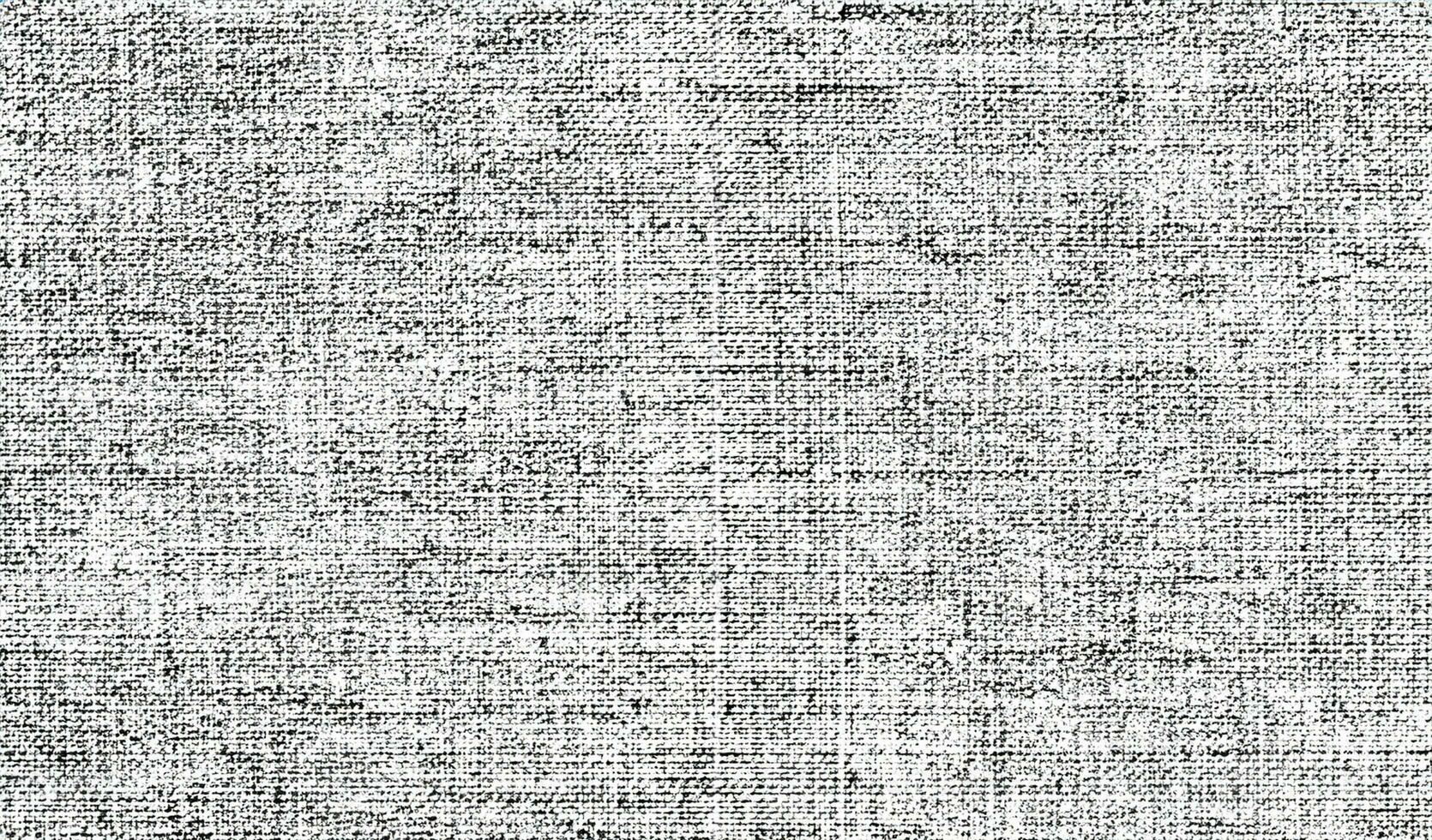 Vector fabric texture. Distressed texture of weaving fabric. Grunge background. Abstract halftone vector illustration. Overlay to create interesting effect and depth. Black isolated on white. EPS10. photo