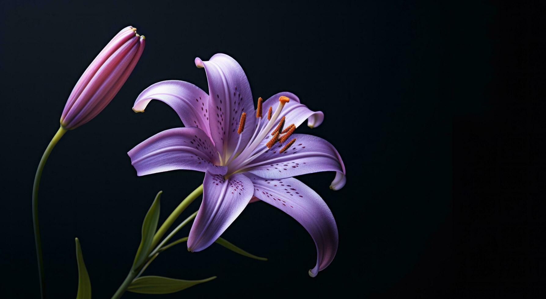 AI generated purple lily wallpaper photo