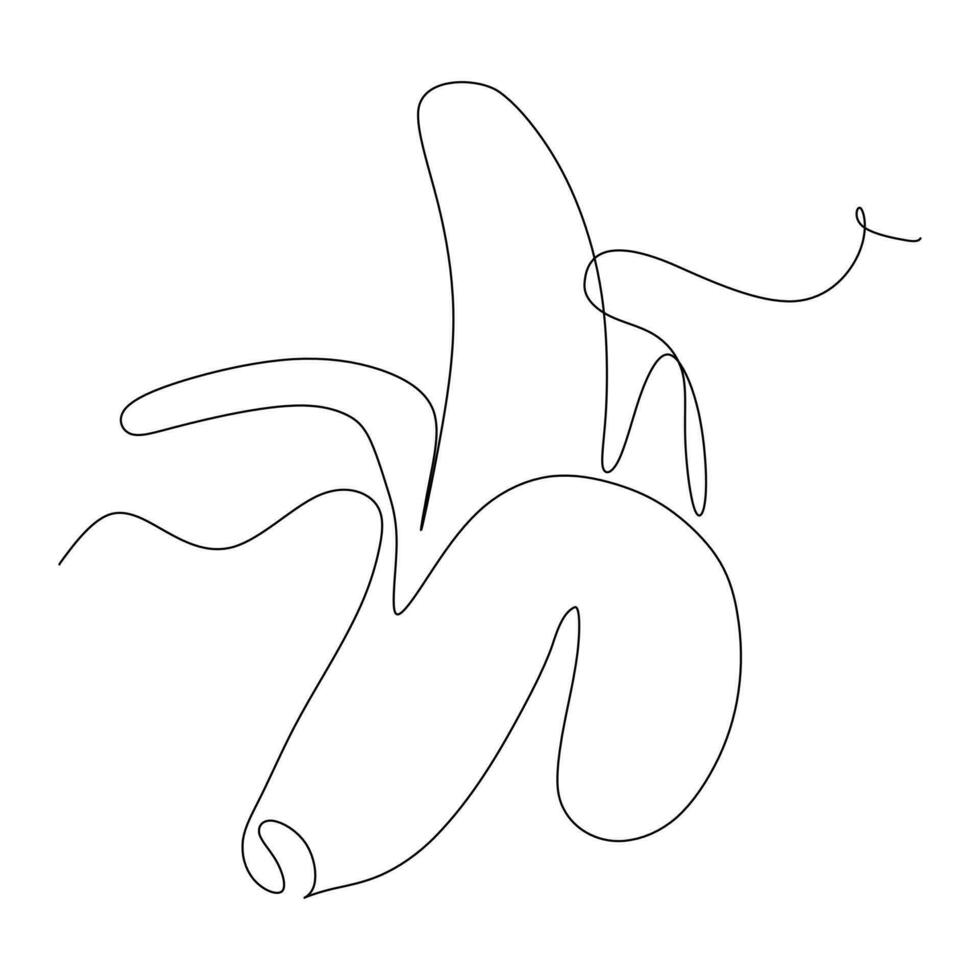 Continuous one single line drawing of banana in silhouette on a white background vector