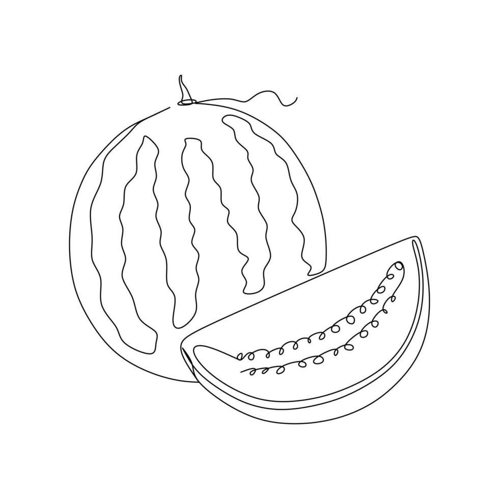 Continuous line drawing of watermelon. Vector illustration isolated on white background.