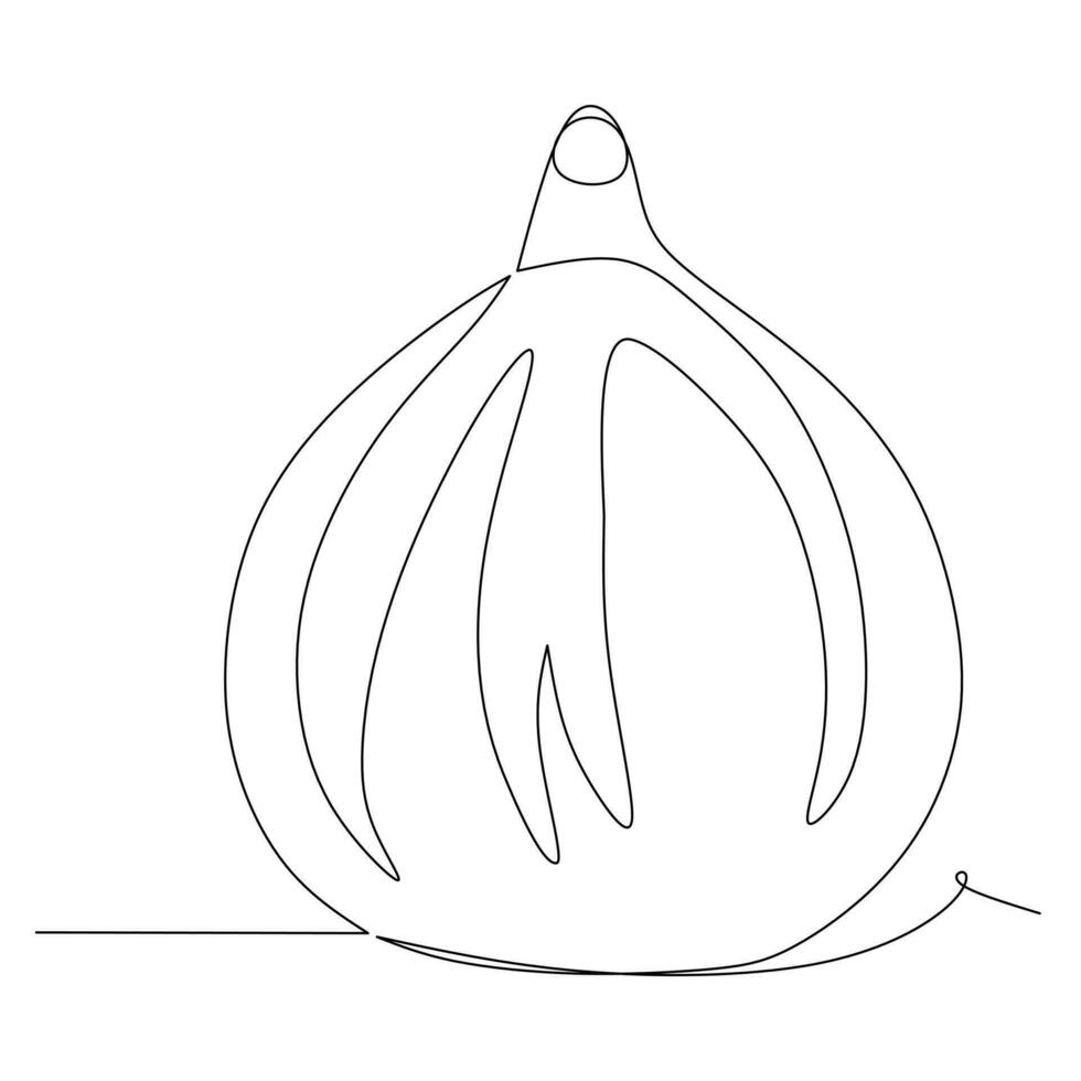 continuous line drawing of onion. Vector illustration on white background.